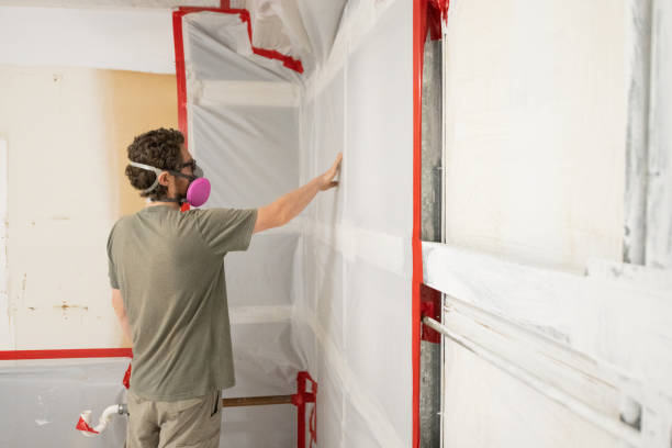 Professional Mold Removal in Geistown, PA